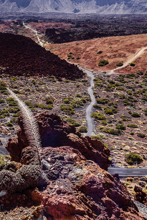 Teide fork in the road