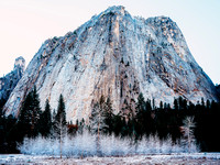 Frosty trees Yosemite colour v3