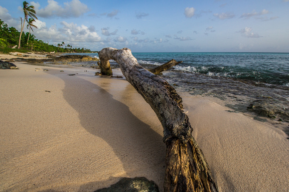 Playa Dominicus Bayahibe 3