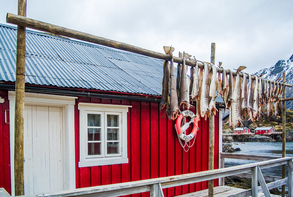 drying cod and cabin