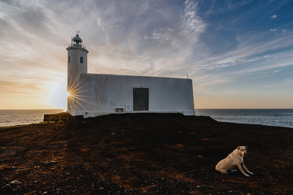 Guardian of the lighthouse