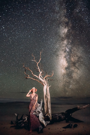 Tree Lorena Milky Way-2