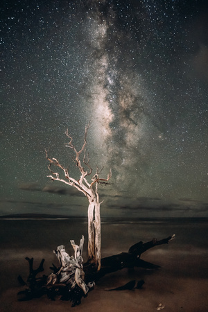Tree Milky Way-2