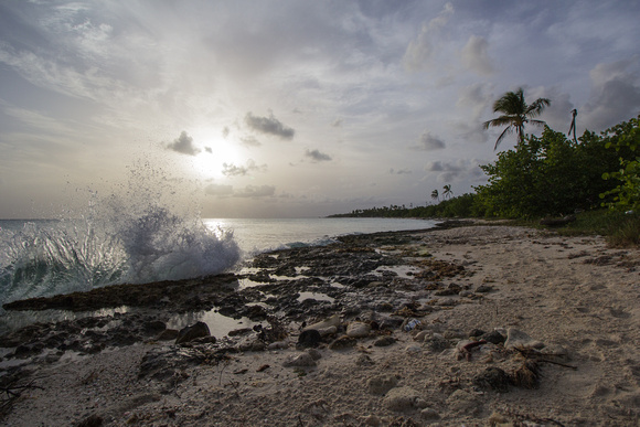 Playa Dominicus Bayahibe sunset wave